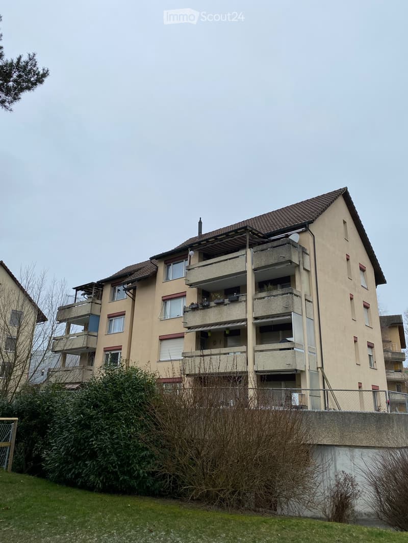 Large Apartment (1)