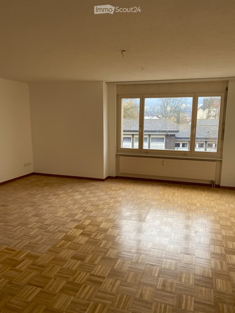 Large Apartment (2)