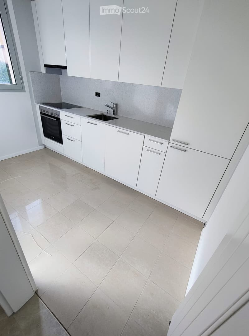 Appartement splendide avec vue sur le lac (1)