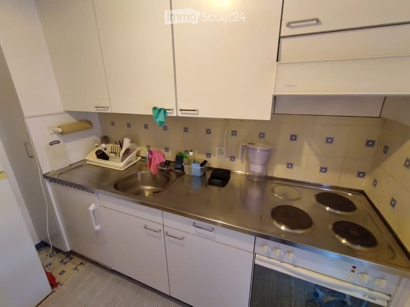1.5 Room Apartment in Viganello, near University (4)
