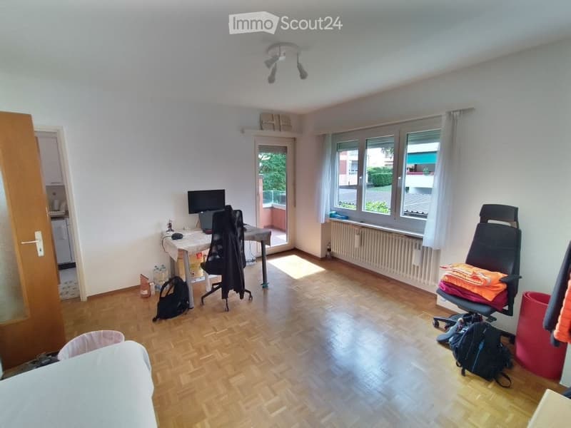 1.5 Room Apartment in Viganello, near University (1)
