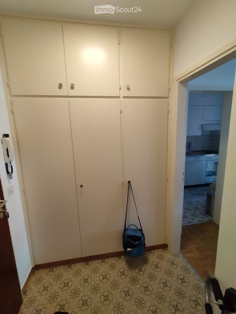 1.5 Room Apartment in Viganello, near University (2)
