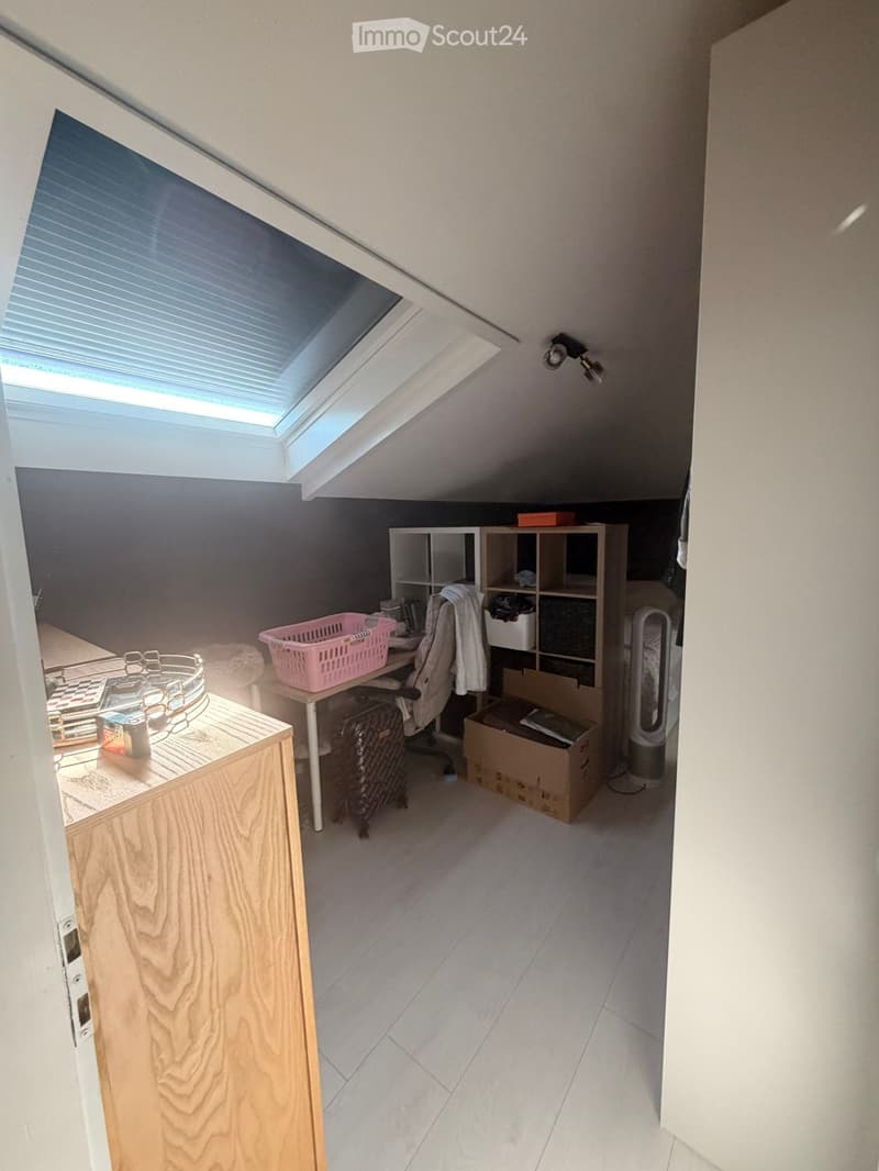 Bella appartamento di 2 camere in mansarda (con condizionatore) (4)