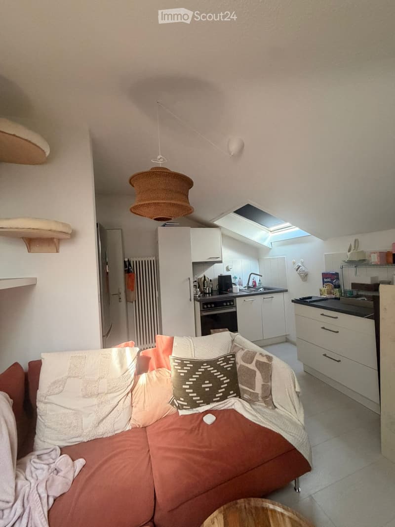 Bella appartamento di 2 camere in mansarda (con condizionatore) (1)