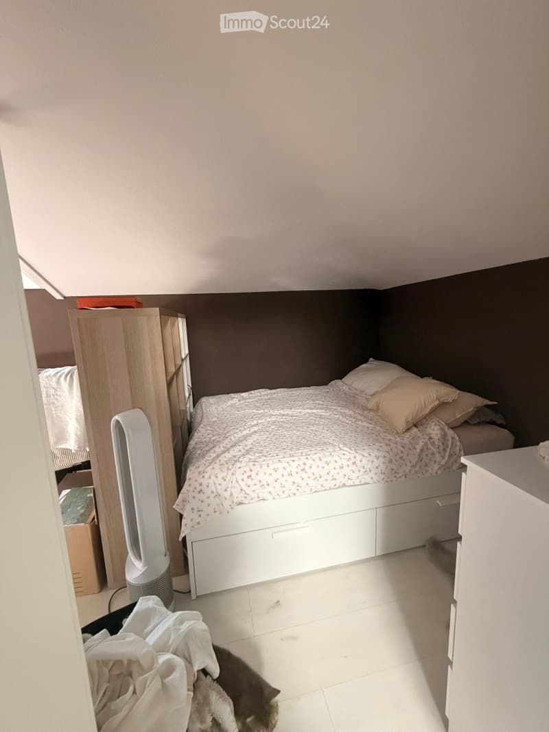 Bella appartamento di 2 camere in mansarda (con condizionatore) (3)