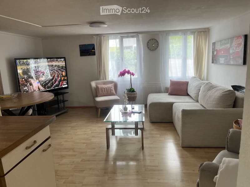 3.5 - Pièces Appartement Rez-de-Chaussée (4)