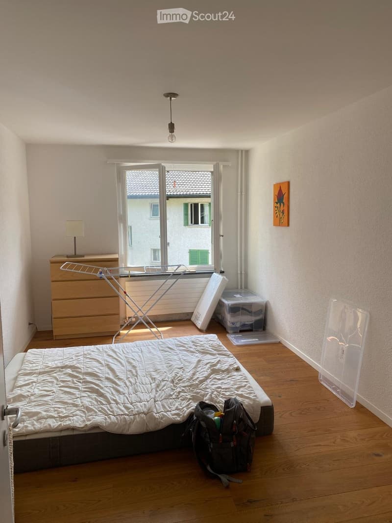 Charming 3-room apartment (2)
