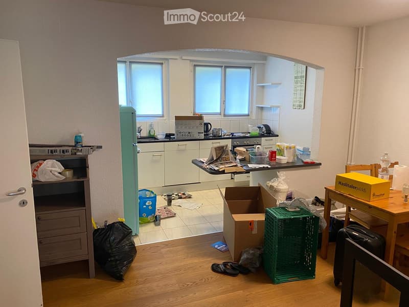 Charming 3-room apartment (3)