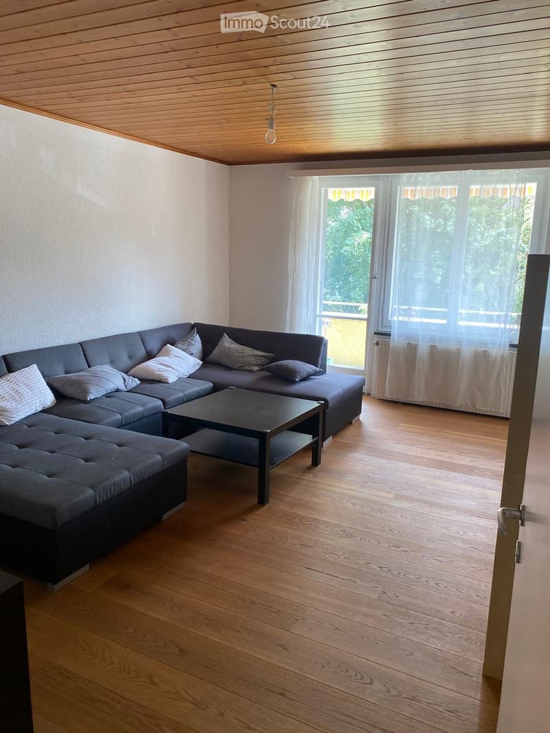 Charming 3-room apartment (1)