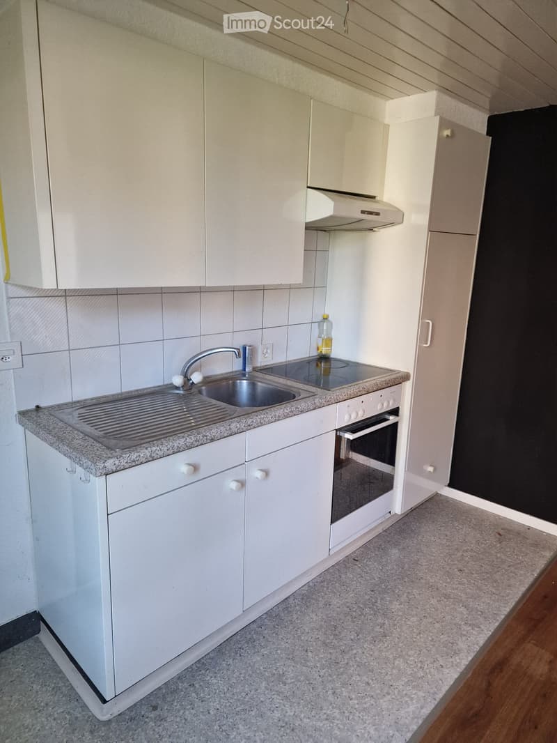 Freshly renovated 2-room ground floor apartment with garden (5)