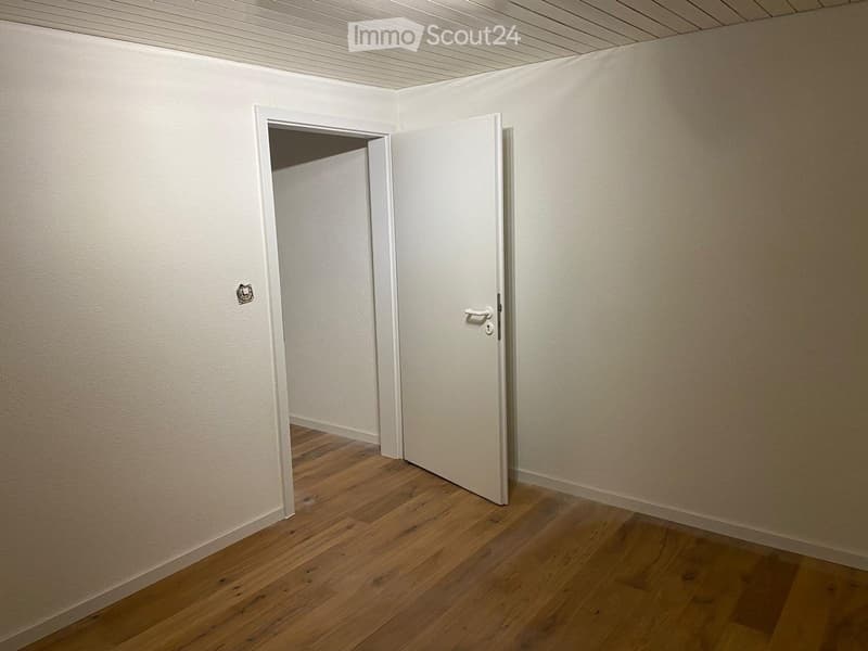 Freshly renovated 2-room ground floor apartment with garden (4)
