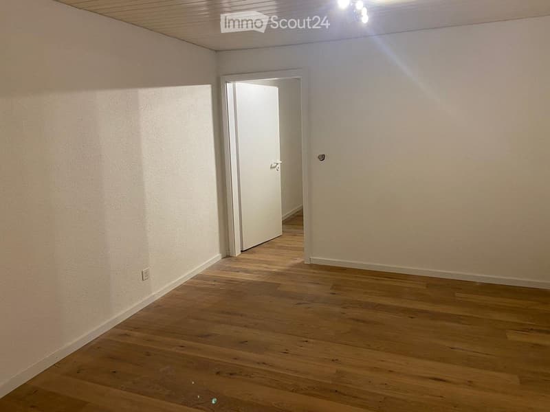 Freshly renovated 2-room ground floor apartment with garden (3)