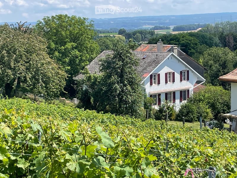 Appartement au rez-de-chaussée meublé avec jardin (1)
