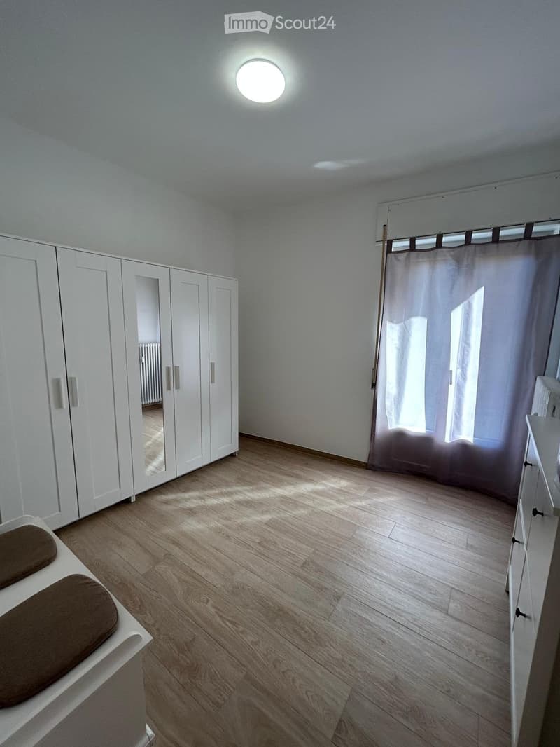 Grazioso 3.5 ammobiliato nel centro storico (4)