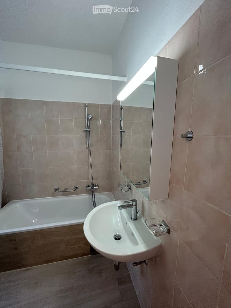 Grazioso 3.5 ammobiliato nel centro storico (3)