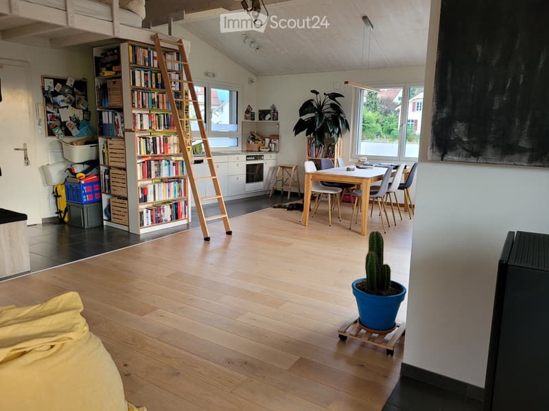 Grand appartement d'une pièce (loft) à louer à Liestal (5)