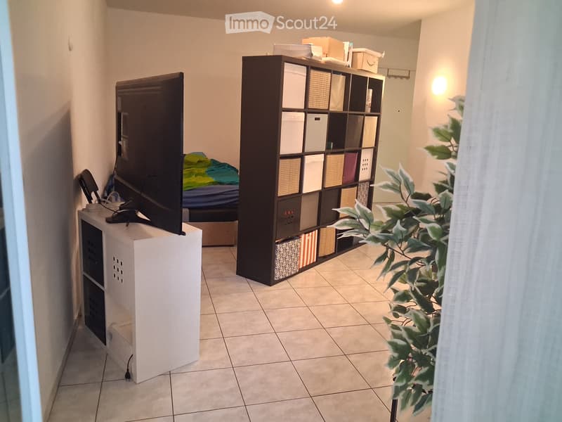 Studio with separate kitchen (1)