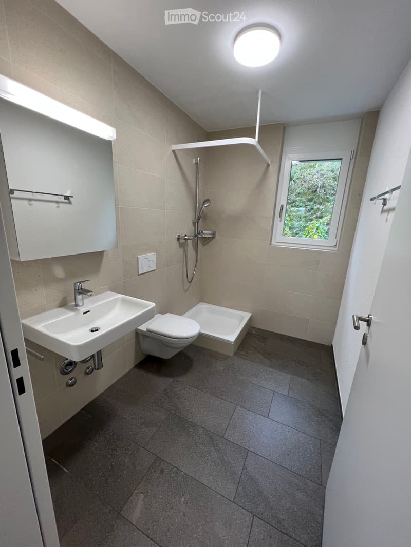 Appartement de 3,5 pièces lumineux - Sous-locataire recherché ! (3)