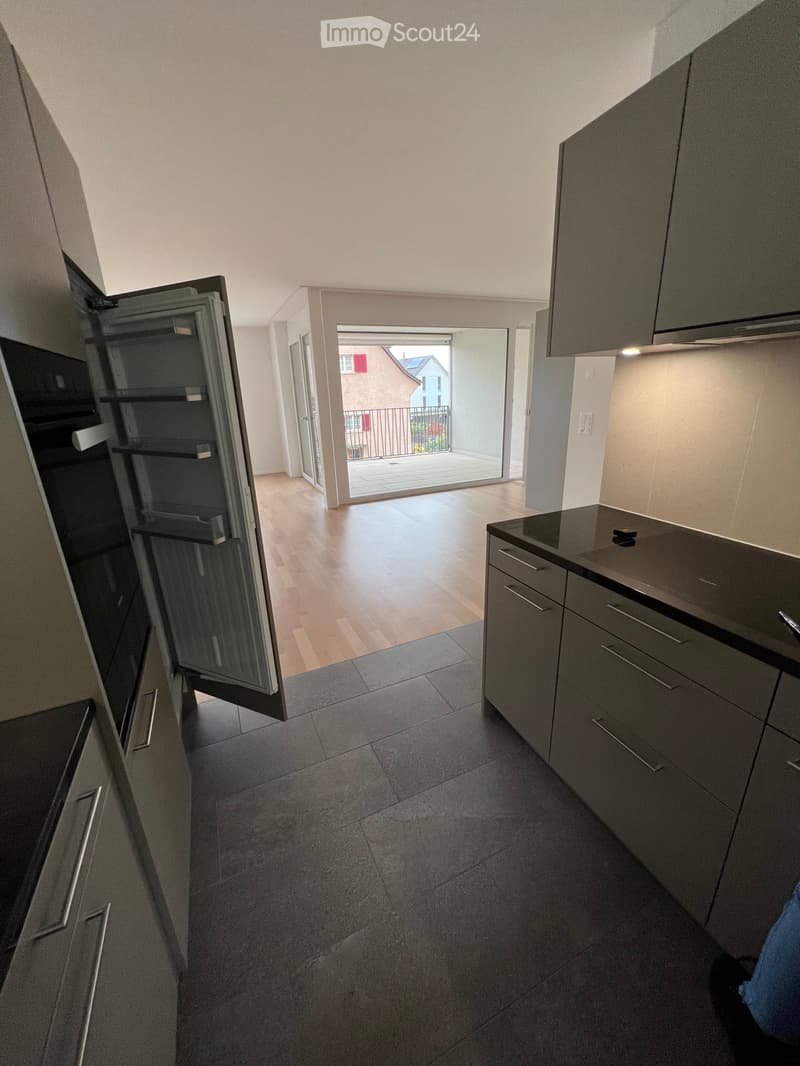 Appartement de 3,5 pièces lumineux - Sous-locataire recherché ! (5)