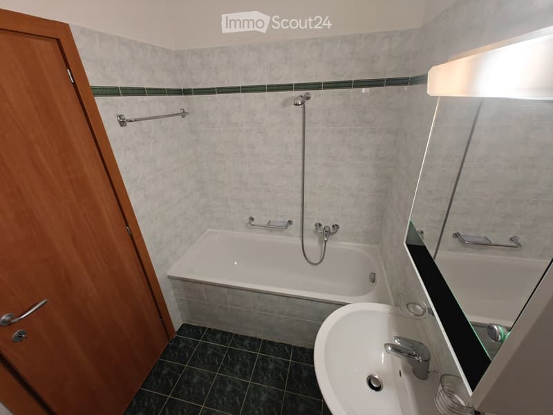 Bright 2.5-room apartment with open view Sublet (5)