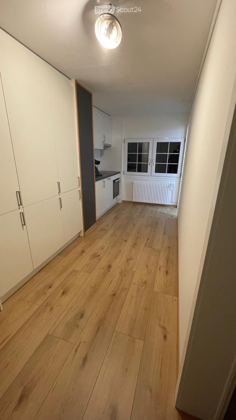 3.5 Room Apartment (3)
