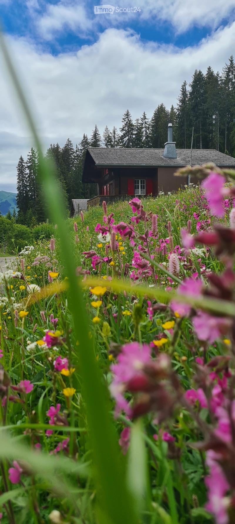 Alloggio (stagionale) nel passo del Jaun (1)