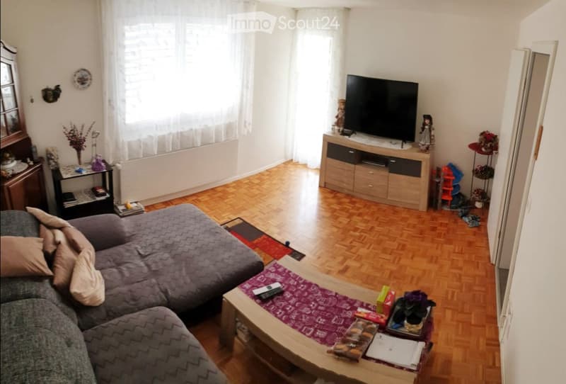 Appartamento di 3,5 locali con grande terrazza, tranquillo & centrale (1)