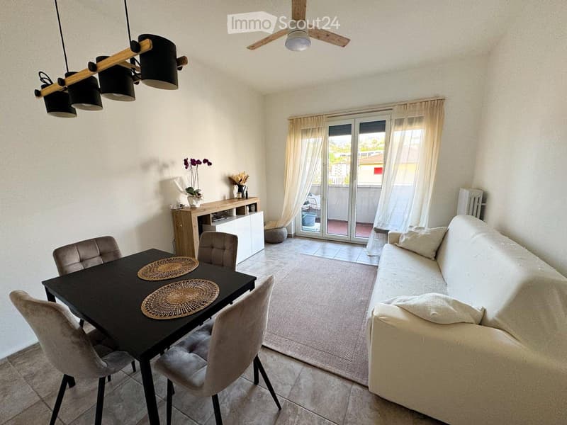 Furnished | Bright 2.5 center of Chiasso | Private washing machine (1)