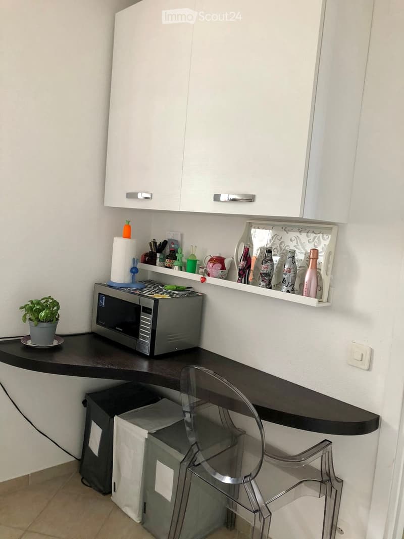 CASA DI DUE APPARTAMENTI DI 3.5 LOCALI (3)