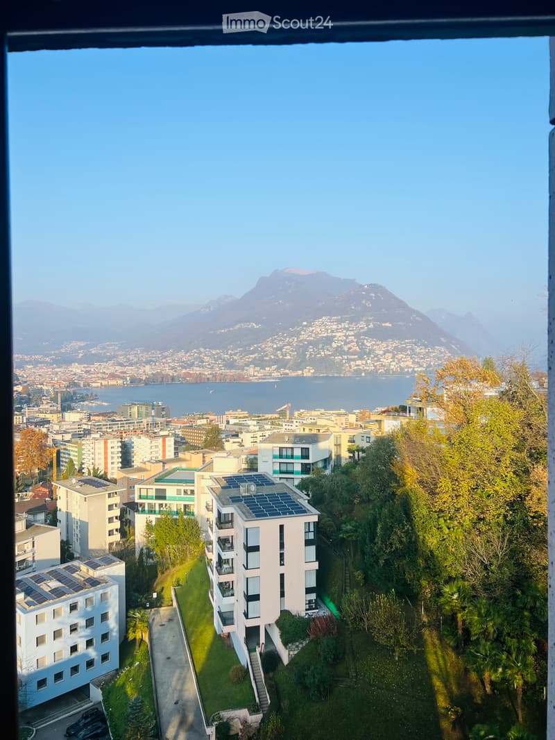 Appartement 3,5 pièces à vendre, également meublé (1)