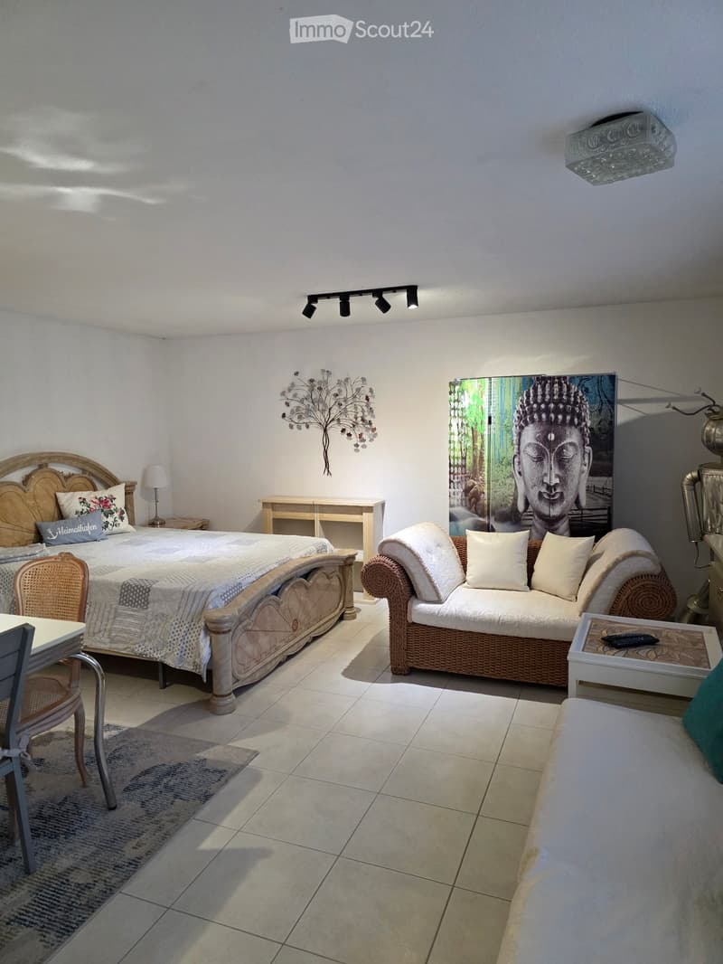 1 pièce appartement meublé 35m2 (1)