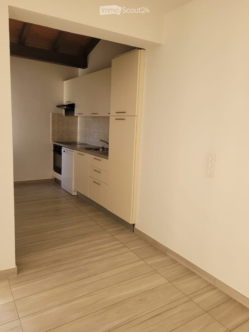Affittasi appartamento 2.5 locali (3)