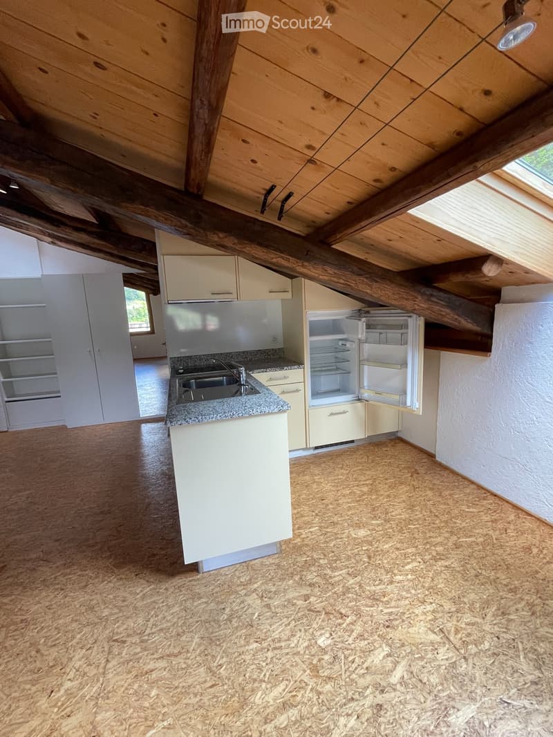 Location de grand local mansardé - studio (Open Space) (3)