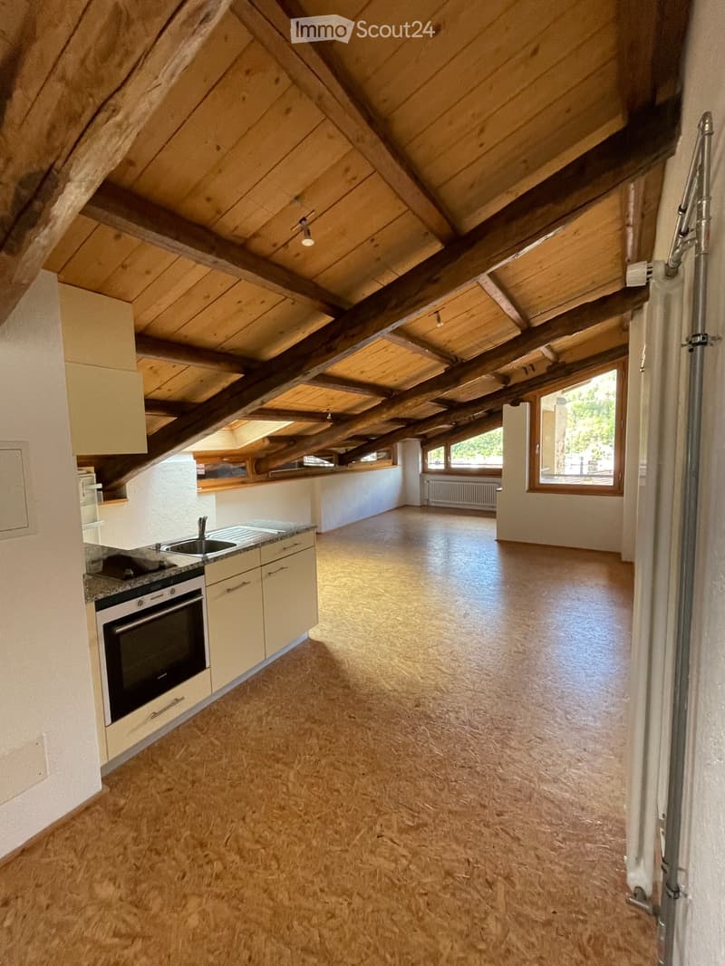 Location de grand local mansardé - studio (Open Space) (1)