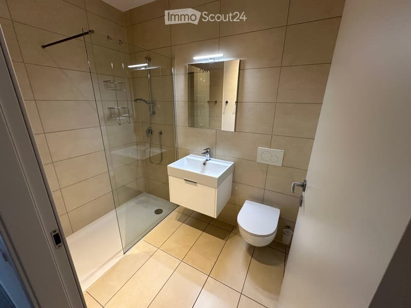 Cozy 2.5-room apartment with terrace in Contone (4)