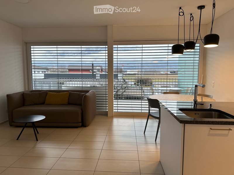 Cozy 2.5-room apartment with terrace in Contone (1)