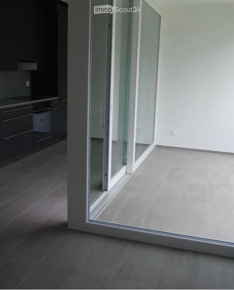 Bright 4.5-room apartment (4)