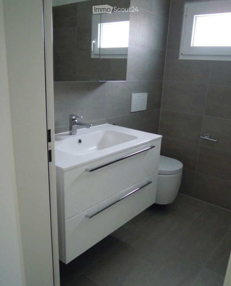 Bright 4.5-room apartment (3)