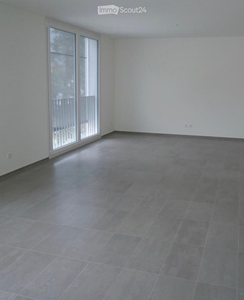 Bright 4.5-room apartment (2)
