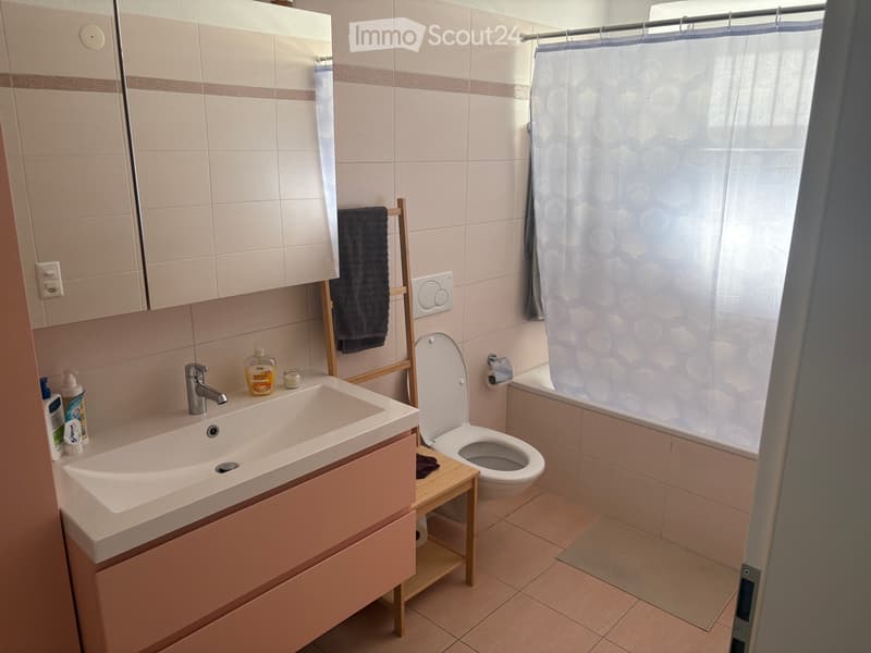 Subtenant for 2.5 rooms (3)