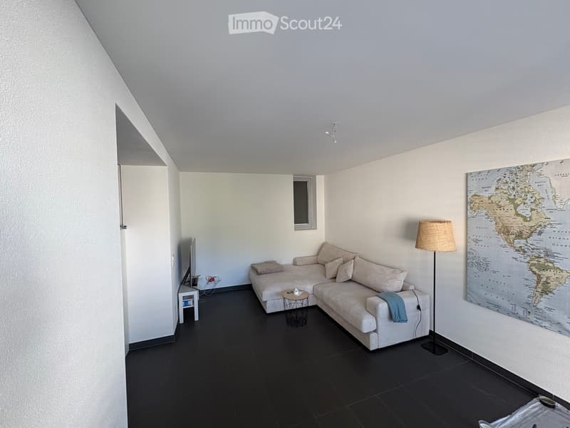 Subtenant for 2.5 rooms (1)