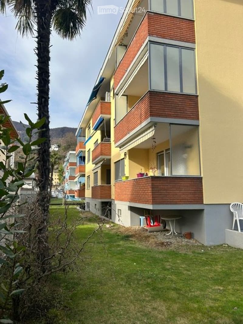 Appartamento di 2,5 locali con balcone in affitto a Losone (2)
