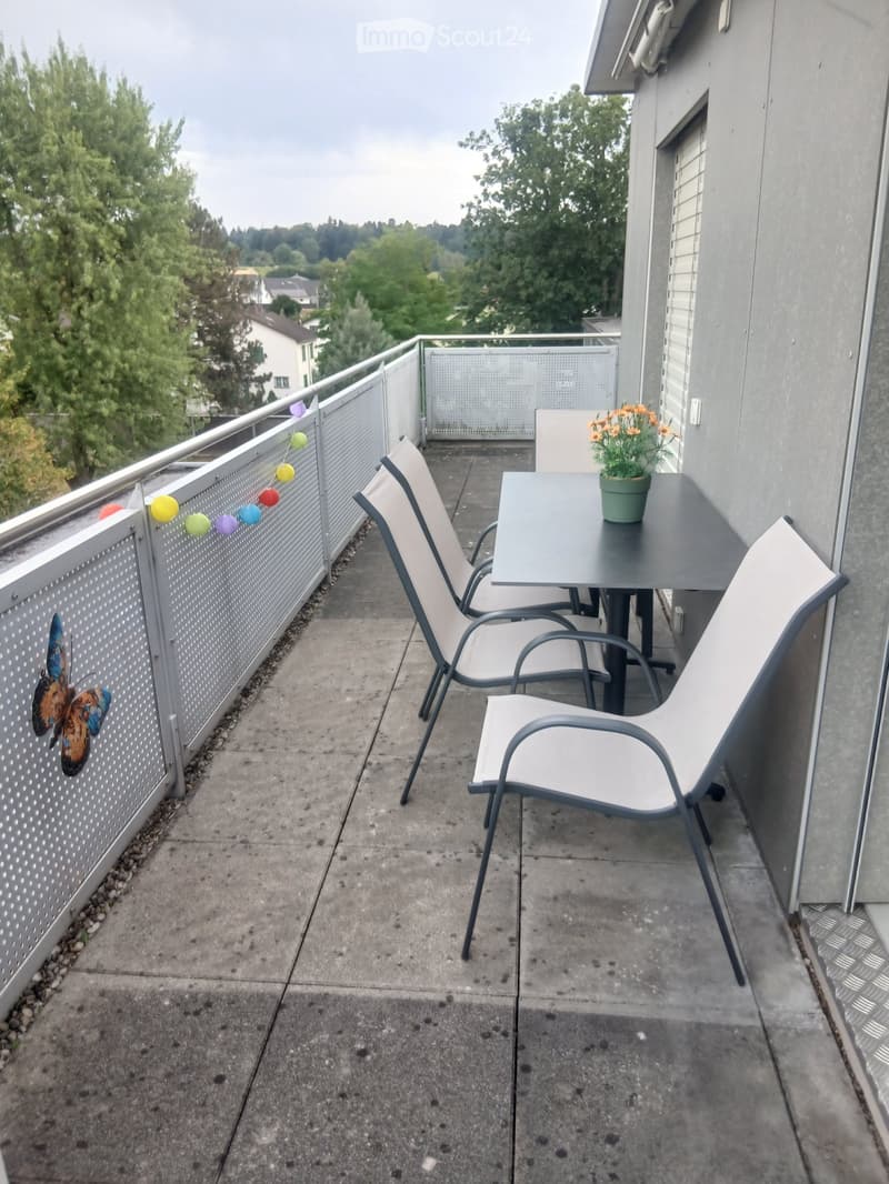 2.5 room attic apartment with terrace at a top price (1)