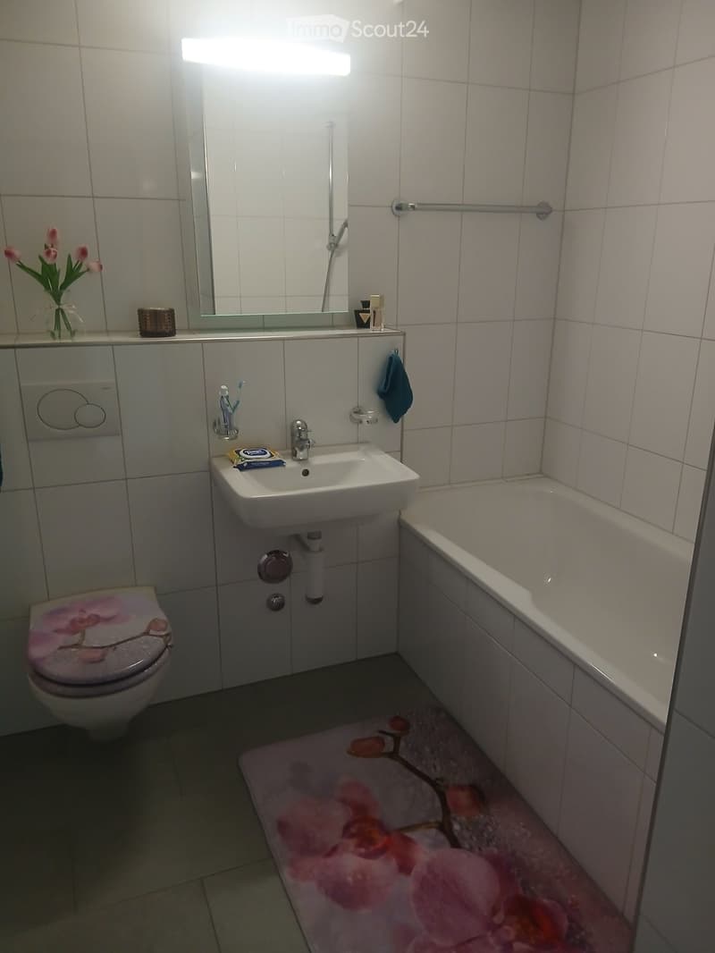 2.5 room attic apartment with terrace at a top price (3)