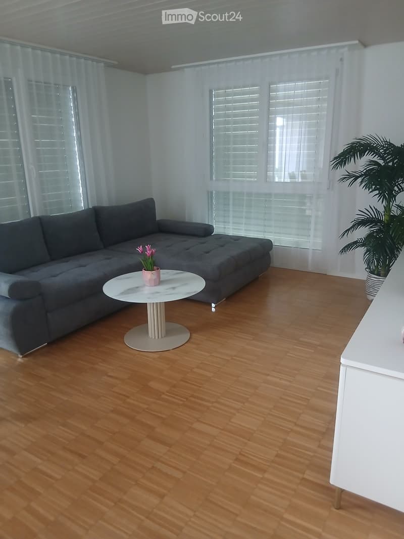 2.5 room attic apartment with terrace at a top price (2)