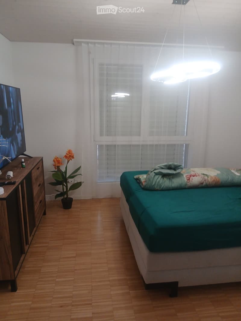 2.5 room attic apartment with terrace at a top price (5)