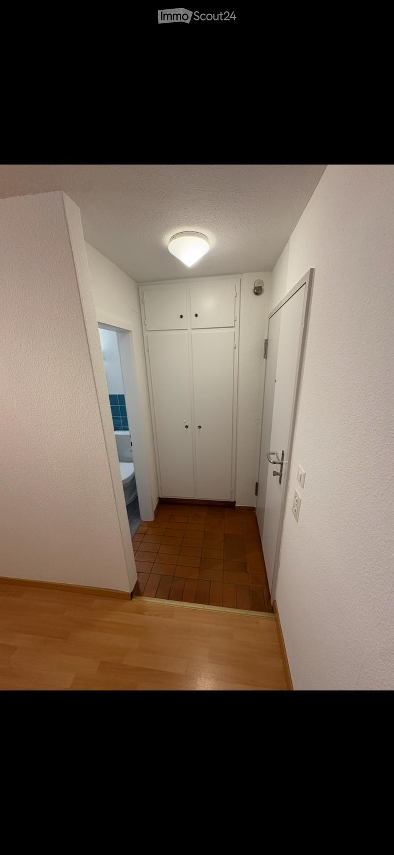Appartamento 1,5 locali nel centro storico! (3)