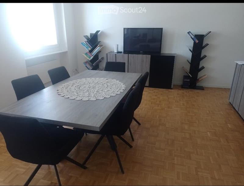 Sublet 4.5 Locarno (1)
