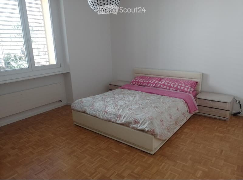 Sublet 4.5 Locarno (4)