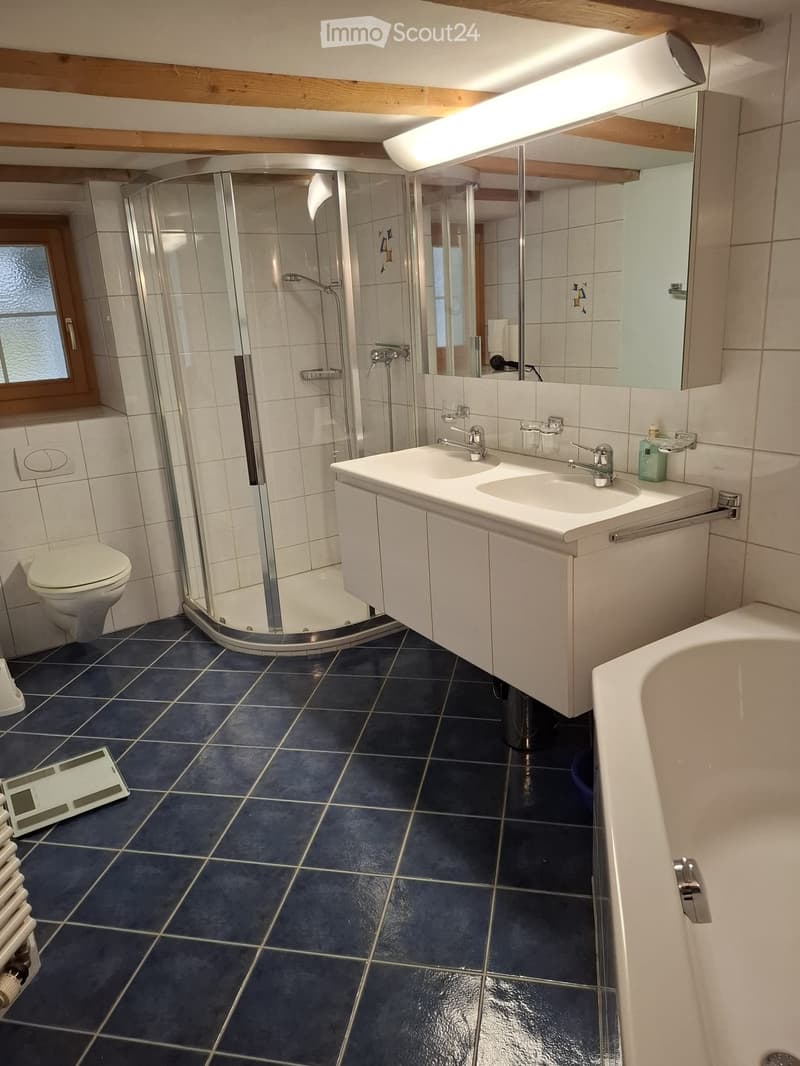 Charming 5.5-room apartment (4)